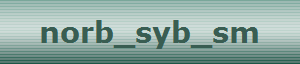 norb_syb_sm
