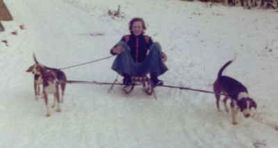 petra_hunde